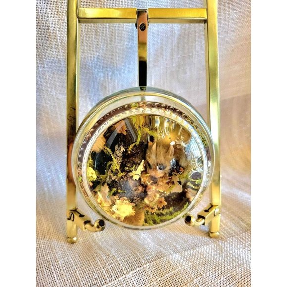 Vintage Lucite Pressed Flower Moss Squirrel Paperweight - Picture 4 of 10